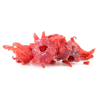 Flor de hibisco